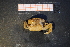  ( - R649-B11)  @13 [ ] Unspecified (default): All Rights Reserved  Unspecified Unspecified