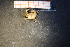  ( - R649-E02)  @13 [ ] Unspecified (default): All Rights Reserved  Unspecified Unspecified