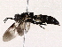  ( - BIOUG72939-E05)  @11 [ ] CreativeCommons - Attribution (2022) CBG Photography Group Centre for Biodiversity Genomics