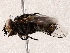  ( - BIOUG73649-C04)  @11 [ ] CreativeCommons - Attribution (2021) CBG Photography Group Centre for Biodiversity Genomics