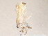  ( - BIOUG73650-B04)  @13 [ ] CreativeCommons - Attribution (2022) CBG Photography Group Centre for Biodiversity Genomics
