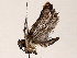  ( - BIOUG73650-B09)  @11 [ ] CreativeCommons - Attribution (2022) CBG Photography Group Centre for Biodiversity Genomics
