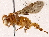  ( - BIOUG73651-D10)  @11 [ ] CreativeCommons - Attribution (2022) CBG Photography Group Centre for Biodiversity Genomics