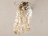 ( - BIOUG73651-H04)  @13 [ ] CreativeCommons - Attribution (2022) CBG Photography Group Centre for Biodiversity Genomics