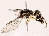  ( - BIOUG73652-F12)  @11 [ ] CreativeCommons - Attribution (2022) CBG Photography Group Centre for Biodiversity Genomics