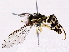  ( - BIOUG73652-F12)  @11 [ ] CreativeCommons - Attribution (2022) CBG Photography Group Centre for Biodiversity Genomics