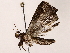  ( - BIOUG73653-G08)  @11 [ ] CreativeCommons - Attribution (2022) CBG Photography Group Centre for Biodiversity Genomics