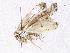  ( - BIOUG73654-B01)  @11 [ ] CreativeCommons - Attribution (2022) CBG Photography Group Centre for Biodiversity Genomics