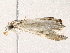  ( - BIOUG73654-F06)  @13 [ ] CreativeCommons - Attribution (2022) CBG Photography Group Centre for Biodiversity Genomics
