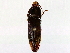  ( - BIOUG64406-D01)  @11 [ ] CreativeCommons - Attribution (2022) CBG Photography Group Centre for Biodiversity Genomics