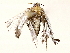  ( - BIOUG76504-C09)  @11 [ ] CreativeCommons - Attribution (2022) CBG Photography Group Centre for Biodiversity Genomics