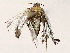  ( - BIOUG76504-C09)  @11 [ ] CreativeCommons - Attribution (2022) CBG Photography Group Centre for Biodiversity Genomics