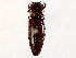  ( - BIOUG76504-E02)  @11 [ ] CreativeCommons - Attribution (2022) CBG Photography Group Centre for Biodiversity Genomics