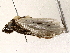  ( - BIOUG76505-A06)  @11 [ ] CreativeCommons - Attribution (2022) CBG Photography Group Centre for Biodiversity Genomics