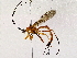  ( - BIOUG76505-C03)  @11 [ ] CreativeCommons - Attribution (2022) CBG Photography Group Centre for Biodiversity Genomics