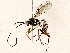  ( - BIOUG76505-C07)  @11 [ ] CreativeCommons - Attribution (2022) CBG Photography Group Centre for Biodiversity Genomics