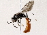  ( - BIOUG76505-D04)  @11 [ ] CreativeCommons - Attribution (2022) CBG Photography Group Centre for Biodiversity Genomics