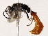  ( - BIOUG76505-D05)  @11 [ ] CreativeCommons - Attribution (2022) CBG Photography Group Centre for Biodiversity Genomics