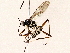 ( - BIOUG76505-D10)  @11 [ ] CreativeCommons - Attribution (2022) CBG Photography Group Centre for Biodiversity Genomics