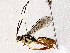  ( - BIOUG76505-E02)  @11 [ ] CreativeCommons - Attribution (2022) CBG Photography Group Centre for Biodiversity Genomics
