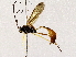  ( - BIOUG76505-E03)  @11 [ ] CreativeCommons - Attribution (2022) CBG Photography Group Centre for Biodiversity Genomics