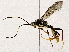  ( - BIOUG76505-E05)  @11 [ ] CreativeCommons - Attribution (2022) CBG Photography Group Centre for Biodiversity Genomics