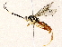  ( - BIOUG76505-E06)  @11 [ ] CreativeCommons - Attribution (2022) CBG Photography Group Centre for Biodiversity Genomics