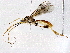  ( - BIOUG76505-G01)  @11 [ ] CreativeCommons - Attribution (2022) CBG Photography Group Centre for Biodiversity Genomics