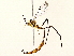  ( - BIOUG76506-D09)  @14 [ ] CreativeCommons - Attribution (2022) CBG Photography Group Centre for Biodiversity Genomics