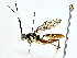  ( - BIOUG80143-B02)  @11 [ ] CreativeCommons - Attribution (2022) CBG Photography Group Centre for Biodiversity Genomics