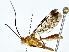  ( - BIOUG80143-E10)  @11 [ ] CreativeCommons - Attribution (2022) CBG Photography Group Centre for Biodiversity Genomics