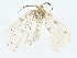  ( - BIOUG80144-A10)  @11 [ ] CreativeCommons - Attribution (2022) CBG Photography Group Centre for Biodiversity Genomics