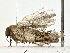  ( - BIOUG80144-B02)  @11 [ ] CreativeCommons - Attribution (2022) CBG Photography Group Centre for Biodiversity Genomics