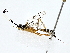  ( - BIOUG80144-D08)  @11 [ ] CreativeCommons - Attribution (2022) CBG Photography Group Centre for Biodiversity Genomics