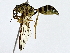  ( - BIOUG80144-D12)  @11 [ ] CreativeCommons - Attribution (2022) CBG Photography Group Centre for Biodiversity Genomics