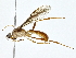  ( - BIOUG80144-F05)  @11 [ ] CreativeCommons - Attribution (2022) CBG Photography Group Centre for Biodiversity Genomics