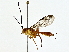  ( - BIOUG80146-D03)  @11 [ ] CreativeCommons - Attribution (2022) CBG Photography Group Centre for Biodiversity Genomics