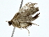  ( - BIOUG80147-A05)  @11 [ ] CreativeCommons - Attribution (2022) CBG Photography Group Centre for Biodiversity Genomics