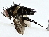  ( - BIOUG80153-B05)  @11 [ ] CreativeCommons - Attribution (2022) CBG Photography Group Centre for Biodiversity Genomics