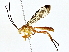  ( - BIOUG80153-C02)  @11 [ ] CreativeCommons - Attribution (2022) CBG Photography Group Centre for Biodiversity Genomics