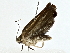  ( - BIOUG80155-F03)  @11 [ ] CreativeCommons - Attribution (2022) CBG Photography Group Centre for Biodiversity Genomics