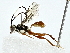  ( - BIOUG80156-A12)  @11 [ ] CreativeCommons - Attribution (2022) CBG Photography Group Centre for Biodiversity Genomics