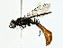  ( - BIOUG80156-C03)  @11 [ ] CreativeCommons - Attribution (2022) CBG Photography Group Centre for Biodiversity Genomics