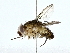  ( - BIOUG80156-G09)  @11 [ ] CreativeCommons - Attribution (2022) CBG Photography Group Centre for Biodiversity Genomics
