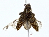  ( - BIOUG80157-B09)  @11 [ ] CreativeCommons - Attribution (2022) CBG Photography Group Centre for Biodiversity Genomics