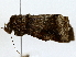  ( - BIOUG80165-A06)  @11 [ ] CreativeCommons - Attribution (2022) CBG Photography Group Centre for Biodiversity Genomics