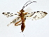  ( - BIOUG80165-G04)  @11 [ ] CreativeCommons - Attribution (2022) CBG Photography Group Centre for Biodiversity Genomics