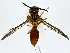  ( - BIOUG80165-G07)  @11 [ ] CreativeCommons - Attribution (2022) CBG Photography Group Centre for Biodiversity Genomics