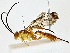  ( - BIOUG80165-H09)  @11 [ ] CreativeCommons - Attribution (2022) CBG Photography Group Centre for Biodiversity Genomics