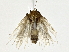  ( - BIOUG80166-E02)  @11 [ ] CreativeCommons - Attribution (2022) CBG Photography Group Centre for Biodiversity Genomics